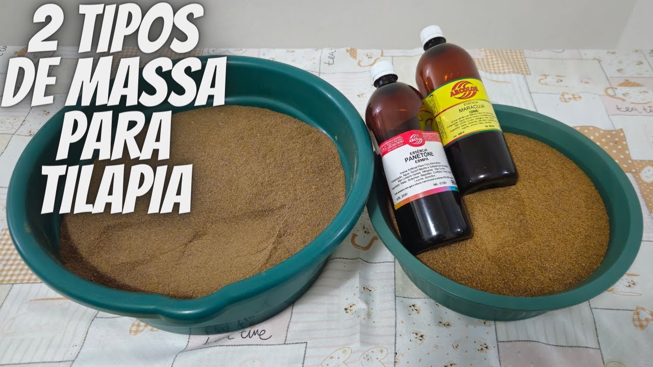 2 TIPOS DE MASSA PARA PESCA DE TILAPIA NA DIARIA!