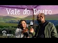 Descobrindo as origens do Vinho do Porto: Vale do Douro, Portugal