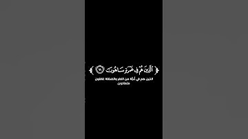 كروما شاشة سوداء قرآن كريم 🌿تلاوة من سورة الذاريات 🌿القارئ رائد المنذري 🌿