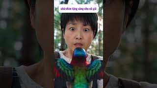 Chú chim lấy vàng ở đâu ra vậy?