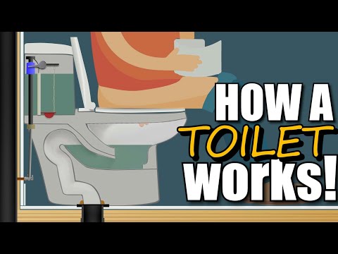 Video: Verticale afvoertoiletten: verschillen en voordelen