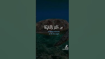 سورة النحل الأية 49و50 #surah #القران #محبي_القرأن_الكريم #راحة_نفسية