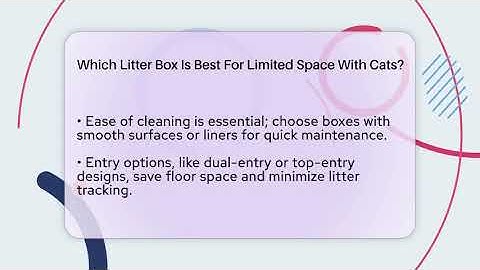 Which Litter Box Is Best For Limited Space With Cats? - Happy Cat Handbook