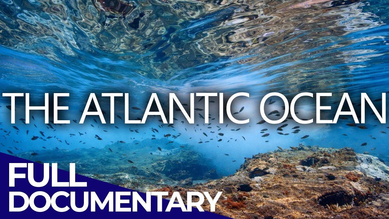Atlantic Ocean: Secrets of the Blue Wilderness | FD Ocean - YouTube