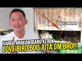 Love Bird Biang Kerok Akhirnya Punya Keturunan Om Bro!!! Mahal Mana Sama Murai Batu?