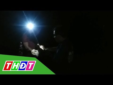 Video Thú vị săn 