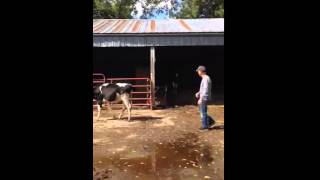 Jay Thomas on the farm