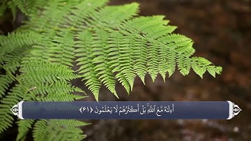 ربوبیت الله تعالی آيه 60 تا 64 سوره نمل