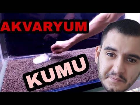 Video: Bir Akvaryumdan Bitkiler Nasıl Yıkanır