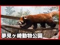 夢見ヶ崎動物公園のどうぶつたち(2018年4月11日) の動画、YouTube動画。