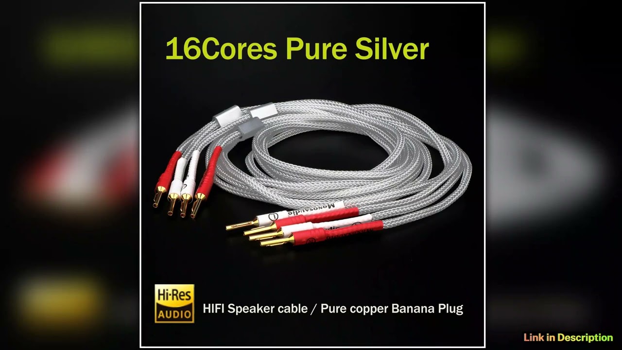 Pair Pure Solid Silver Speaker Cable with Pure Copper B80 Banana Plug pure silver Loudspeaker Cable