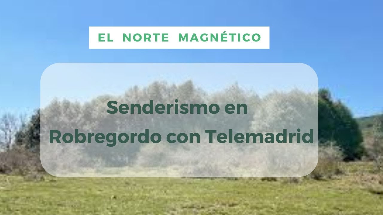 🎥 ¡Así fue nuestra ruta al Acebal de Robregordo con Enamorados de Madrid! 🌿