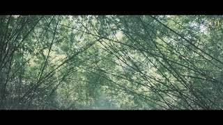 Snake (Official Trailer) | Hindi | Naomen Eerdeni | Huang Kai-Lun | IOF Hindi