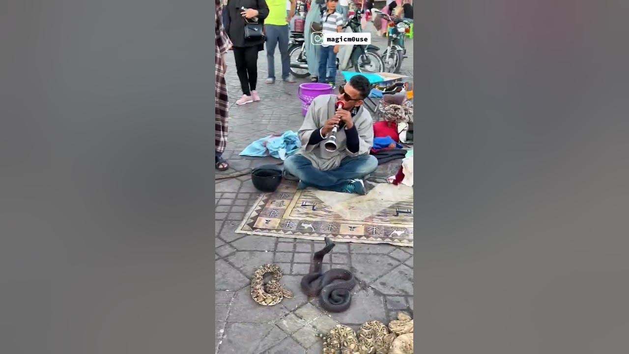 The Enchanting Music of Marrakech's Snake Charmer, Morocco
