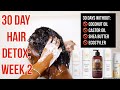 My 30 Day Hair Detox Journey: Week 2 | NO OILS, BUTTERS, OR ECOSTYLER!?! | BEAUTYBYAJ