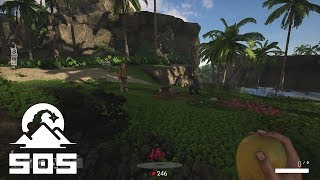 The papaya Cult - SOS: The Game screenshot 5