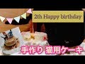 【猫用ケーキを作ってみた】黒猫チョコ ２才の誕生日