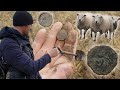 Metal Detecting in Stirling - Roman Silver in Scotland!