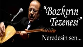 Neşet Ertaş