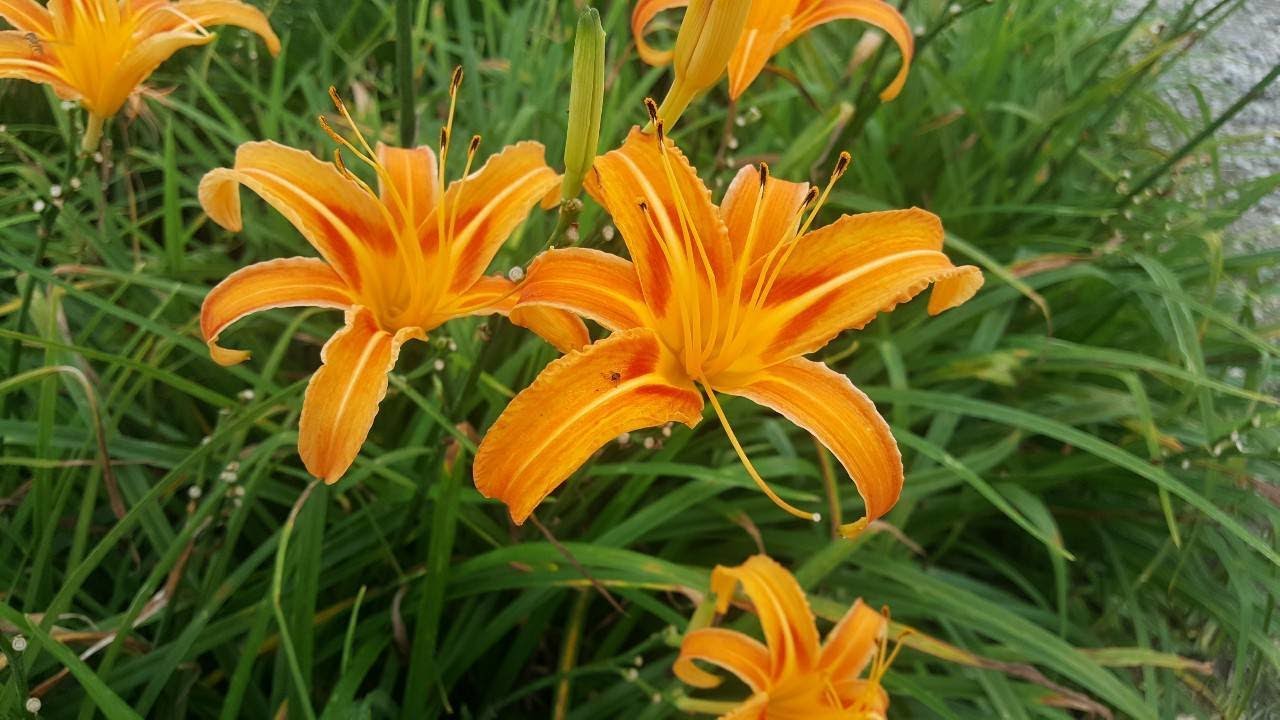 2022台東驚嚇之旅遇強烈地震