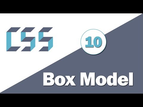 10 - ( CSS Tutorial ) Box Model In CSS