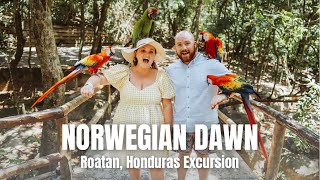 NORWEGIAN DAWN - An excursion you shouldn't miss at Roatan, Honduras! - March 2022