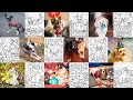 BLISS PETS Coloring Book Flip Through