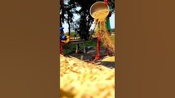 Paddy winnowing fan #shorts #viral