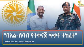 Ethiopia - ESAT Amharic Night Time News 18 August 2026