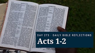 DAY 273 | Acts 1-2 | The Bible in A Year