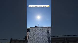 Sun and moon together in the morning sky ☀️🌙#shorts #moon #europe #germany # #deutschland