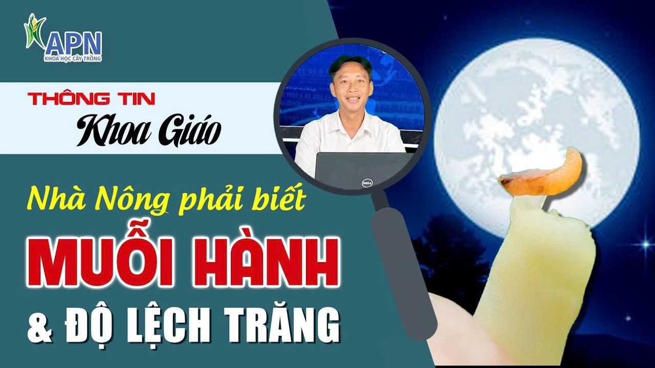 APN - NHÀ NÔNG PHẢI BIẾT MUỖI HÀNH VÀ ĐỘ LỆCH TRĂNG