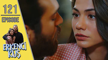 Early Bird Episode 121 English Subtitles Erkenci Kus Early Bird Episode 121 English Subtitles Erkenci Kus