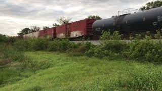 FEC TRAIN 210#3453@8:12am