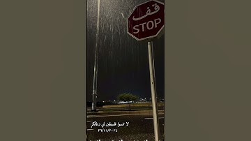 تلاوة هادئة #القرآن_الكريم #تلاوه #فلسطين #قضيتنا_فلسطين #هدوء #فلسطين_حره #الله #ارح_سمعك #ارح_قلبك