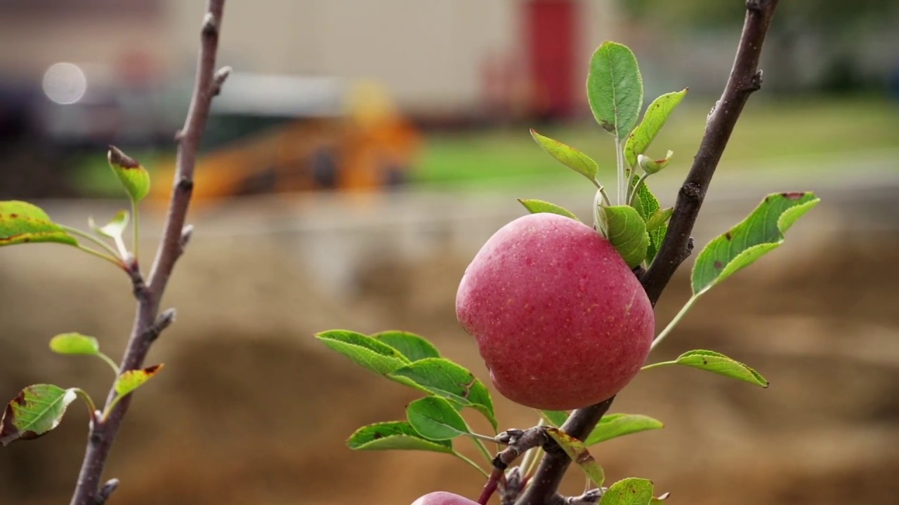 Apple Tree Estates Quality Built Homes YouTube