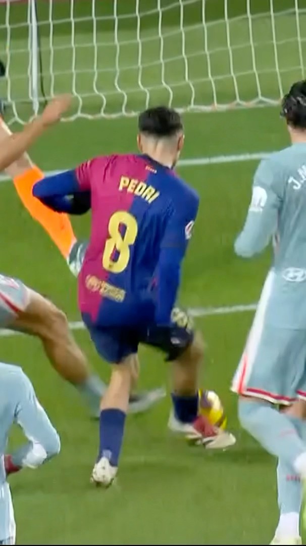 PEDRI POTTER ?