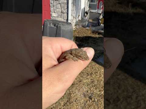 Everyone Appreciates A Warm Hand 