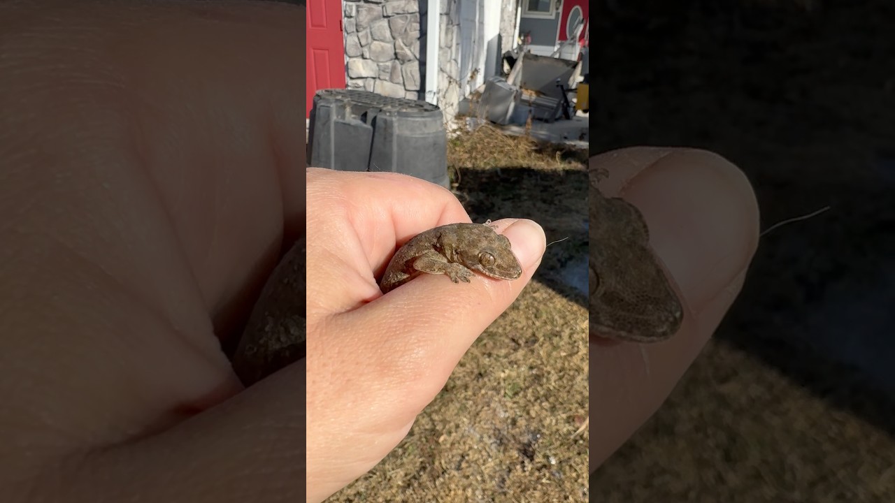 Всем приятно получить тепло в руку.