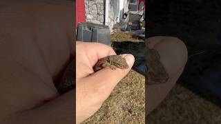 Everyone Appreciates A Warm Hand