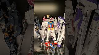 BANDAI GUNDAM AND STAR BLAZERS COLLECTION UPDATE #gundam #gundamseeddestiny #gunpla #gundamunicorn