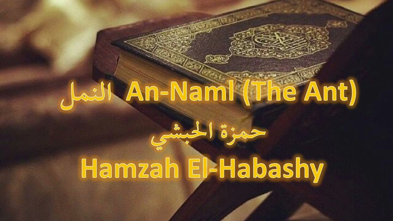 النمل An-Naml (The Ant)حمزة الحبشي  Hamzah El-Habashy