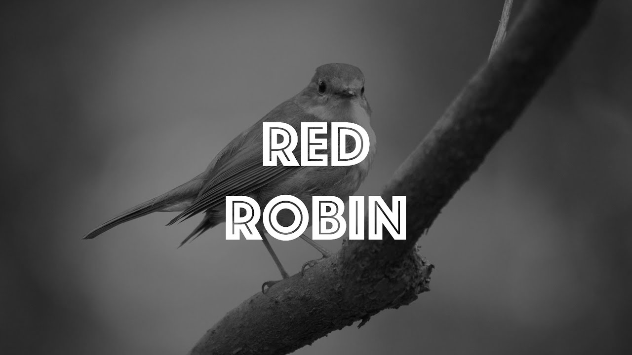 Red Robin Reed Singer Red Robin - Original Piano Music - YouTube