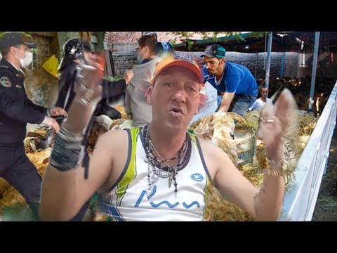 هشام صونطراوي يحكي على قصة فول فرقش 