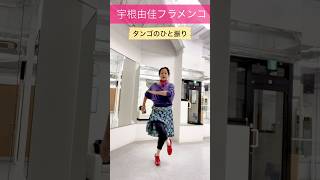 【フラメンコ🌹タンゴのヒント】宇根由佳フラメンコ Yuka Une Flamenco Tango #shorts #ダンス #flamenco #dance #フラメンコ #tango