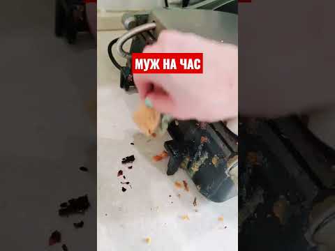 Husband For An Hour Joke