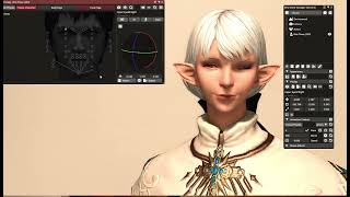 How to Gpose in FFXIV with Brio - Part 4: Posing Faces