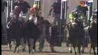 Barbaro Injury May 20 2006