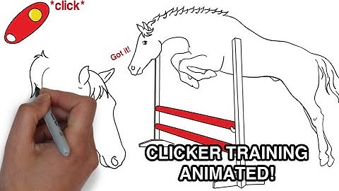 What is positive reinforcement? Clicker training? | Animated Series Episode 1