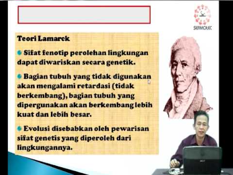 Video: Cadence (langkah / Min) Dan Keamatan Semasa Ambulasi Dalam 6-20 Tahun: Kajian CADENCE-anak-anak